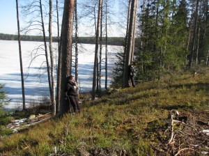 Kotorannan leiri, huhtikuu 2016 023