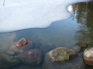 Kotorannan leiri, huhtikuu 2017 138