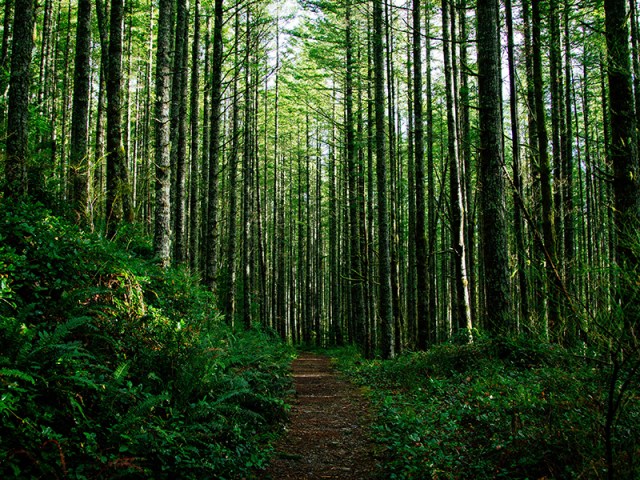 vierasblogi_pekka_kuva_2