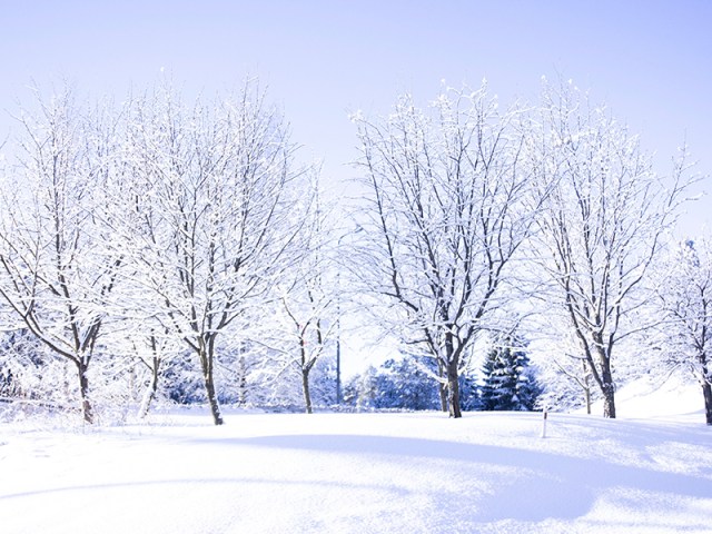 vierasblogi_pekka_kuva_4