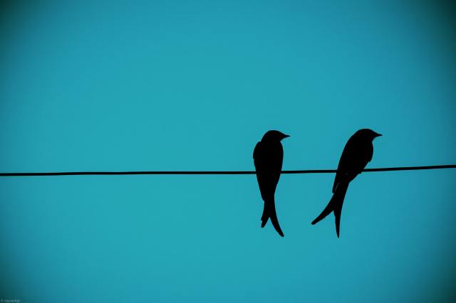 unsplash vignesh jayaprakash